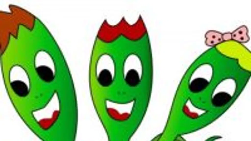 Blooming Buds Play Group Cum Nursery
