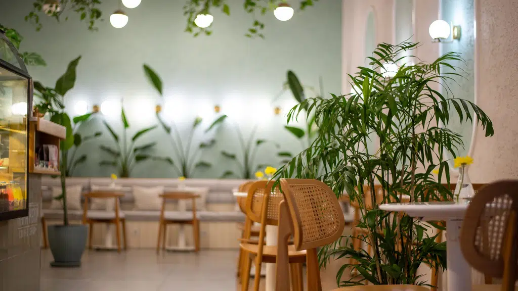 Café Coffee Day