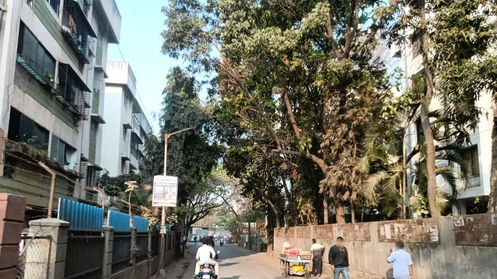 Ramchandra sabha gruha