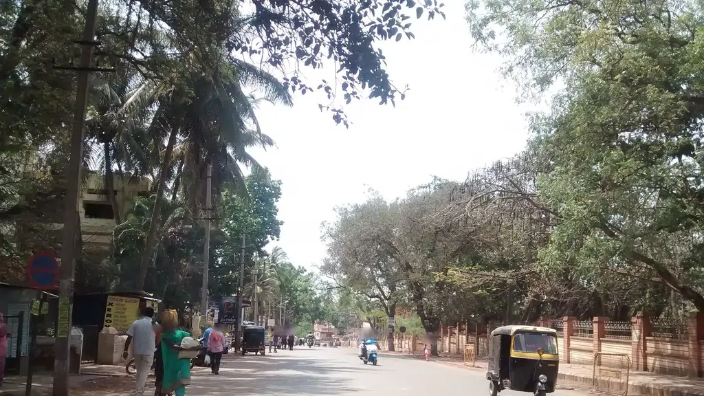 Shreeya Hospital