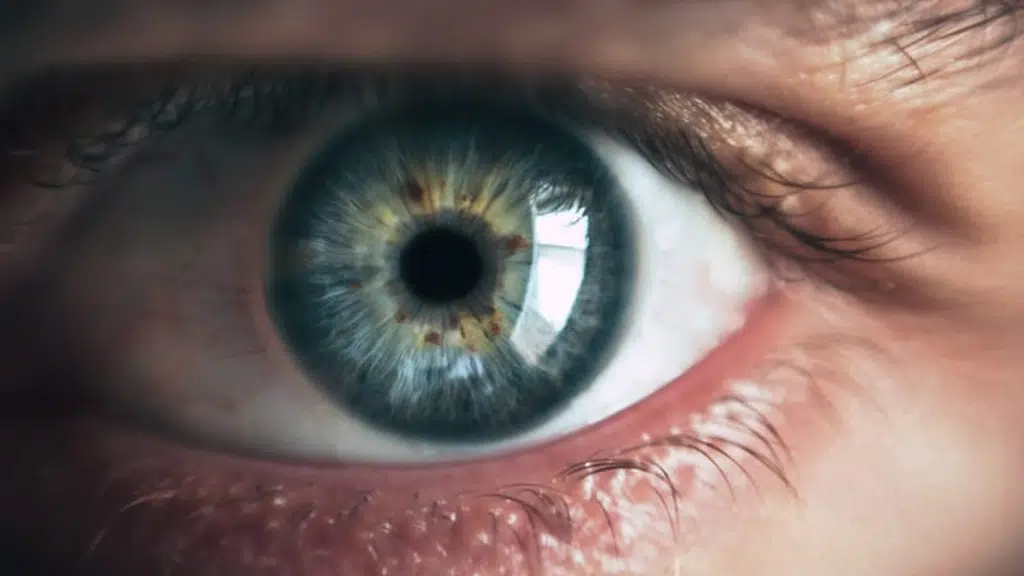 Vision Optical