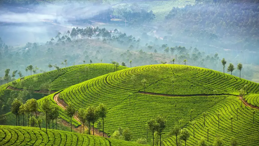 Palakkad Tourist Attractions, Central Kerala, India