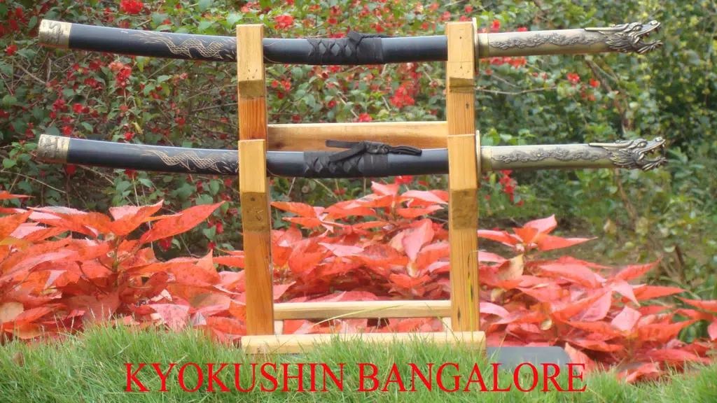 Kyokushin Martial Art School