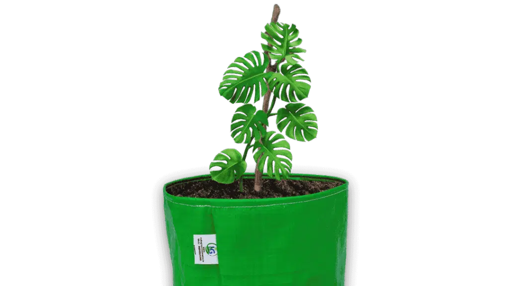 India Green Innovative