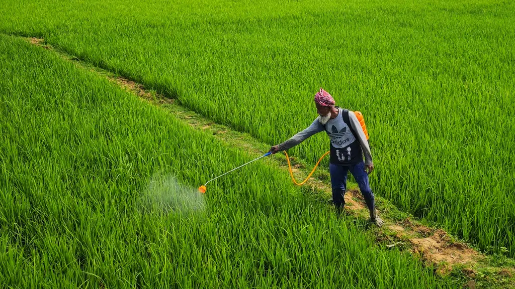 Nature Agrocare & Research Pvt. Ltd.