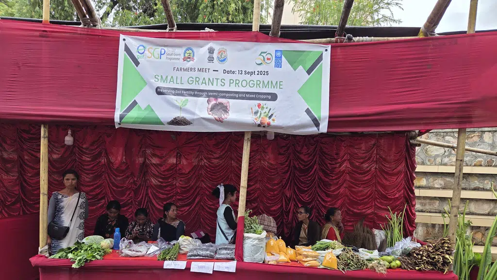 Bosco Integrated Development Society