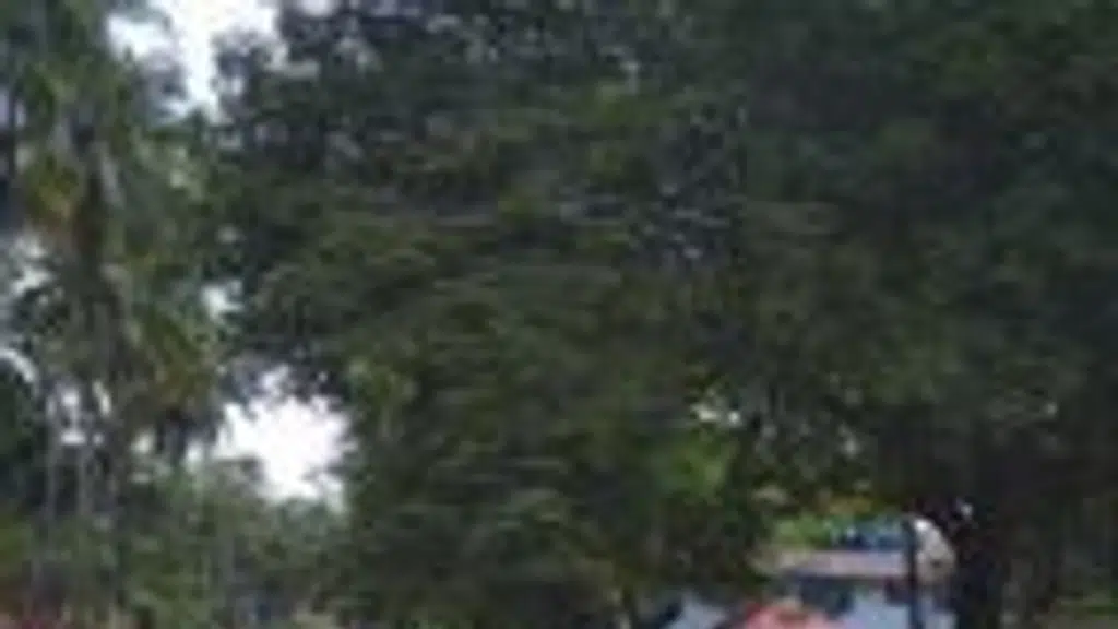 St.George Orthodox Syrian Church Peechi,Thrissur