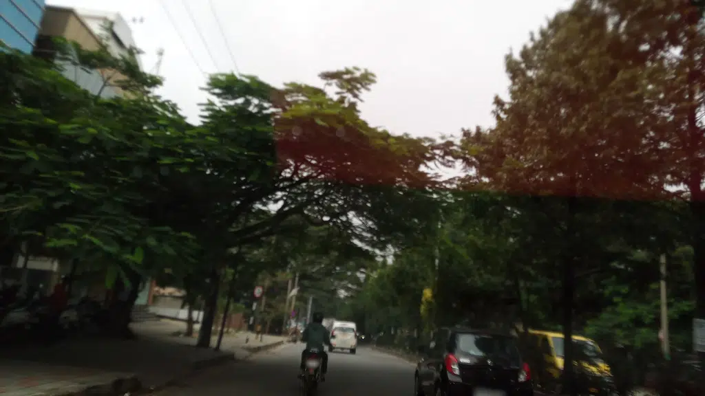 King Non Veg Park