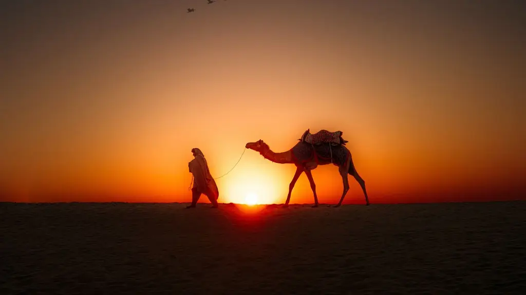 Hotel Robin Palace Jaisalmer