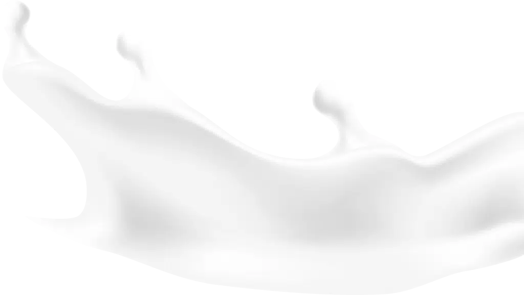 Adya Dairy