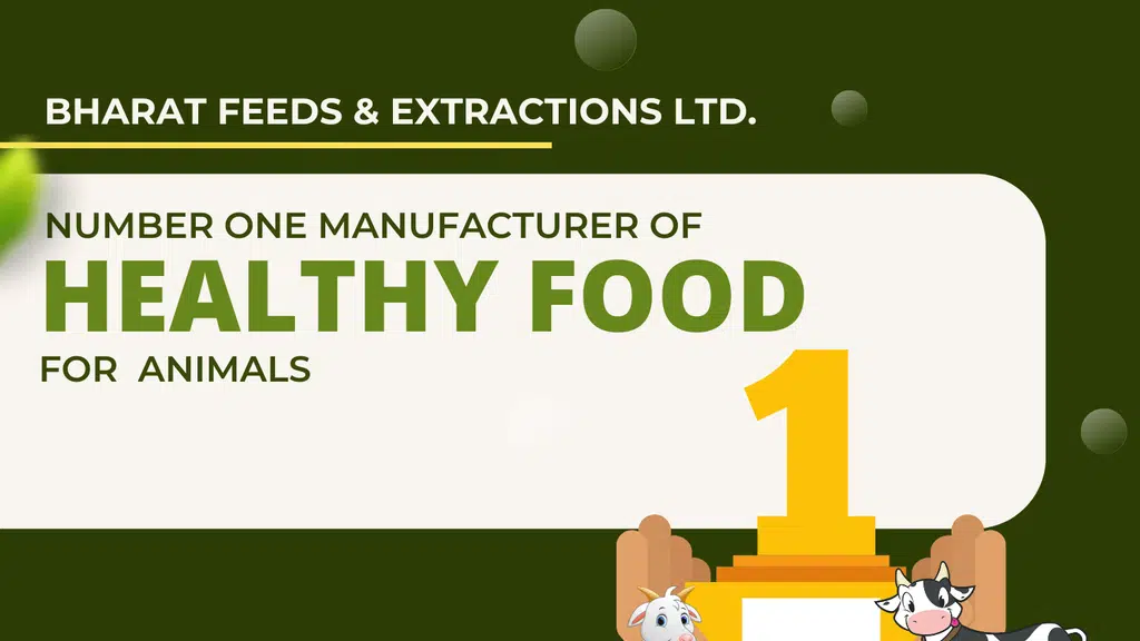 Bharat Feeds and Extractions Limited