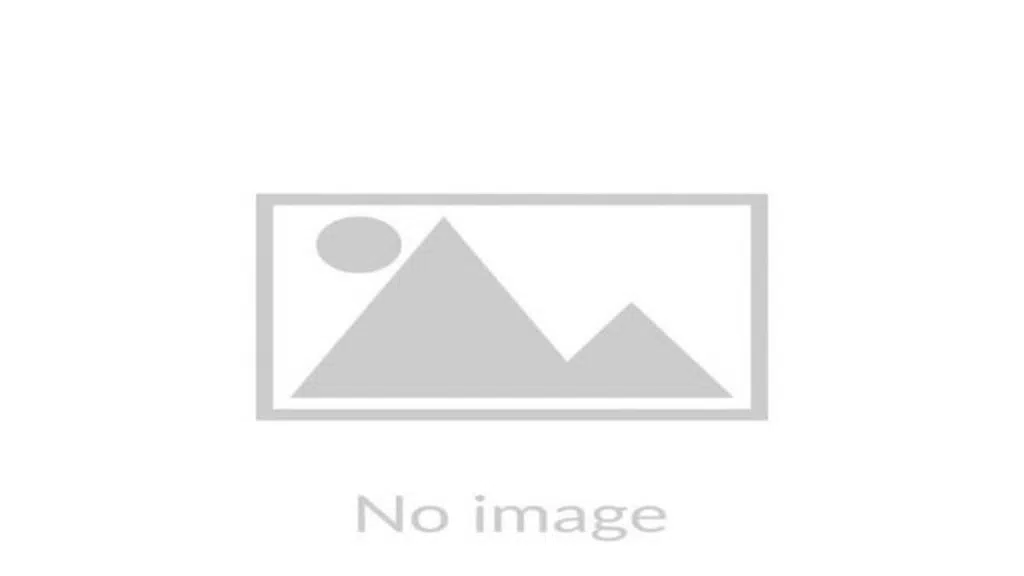 Phoenix Realty