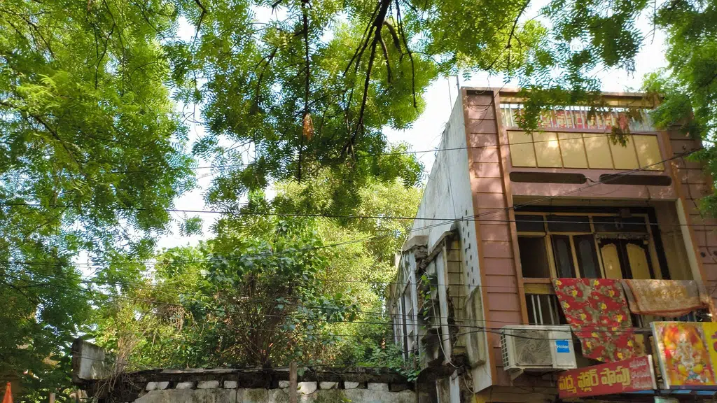 Sri venkateswara silpasala