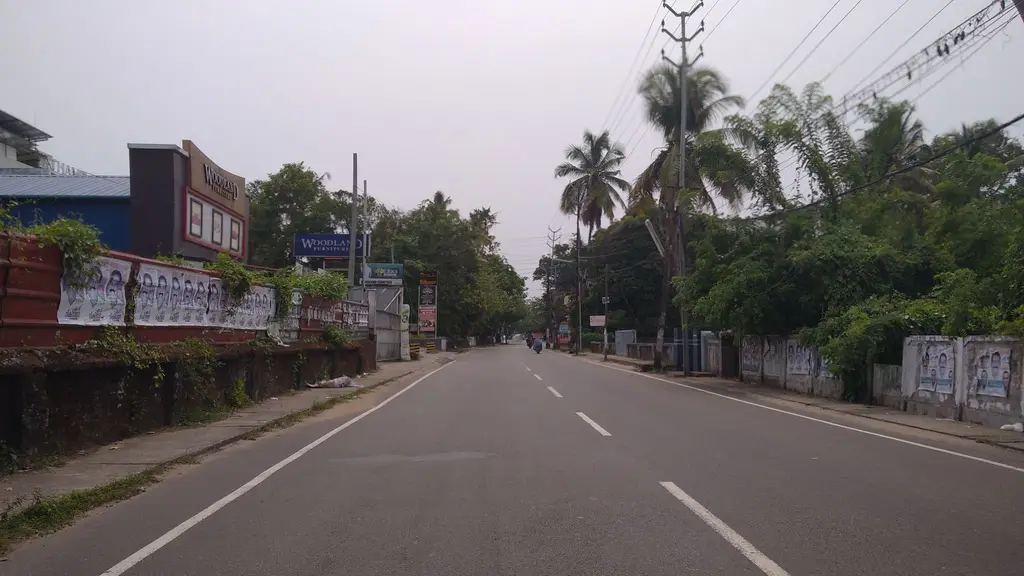 Domino's Pizza | Thampis Building, North Paravur, Kerala