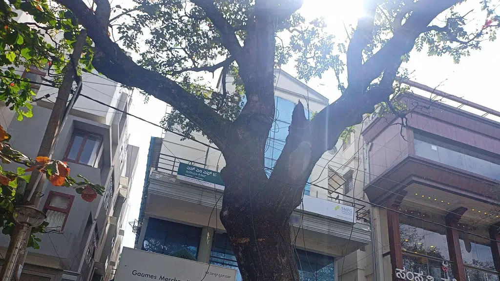 Lakshmi Homoeopathy Clinic