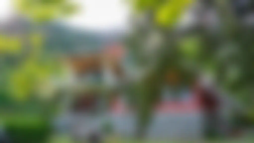 Upadhyay Cottages | Best Mountain Stays in Manali