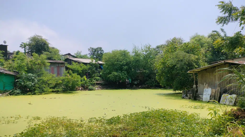 Bhuigaon Dongri Apartment