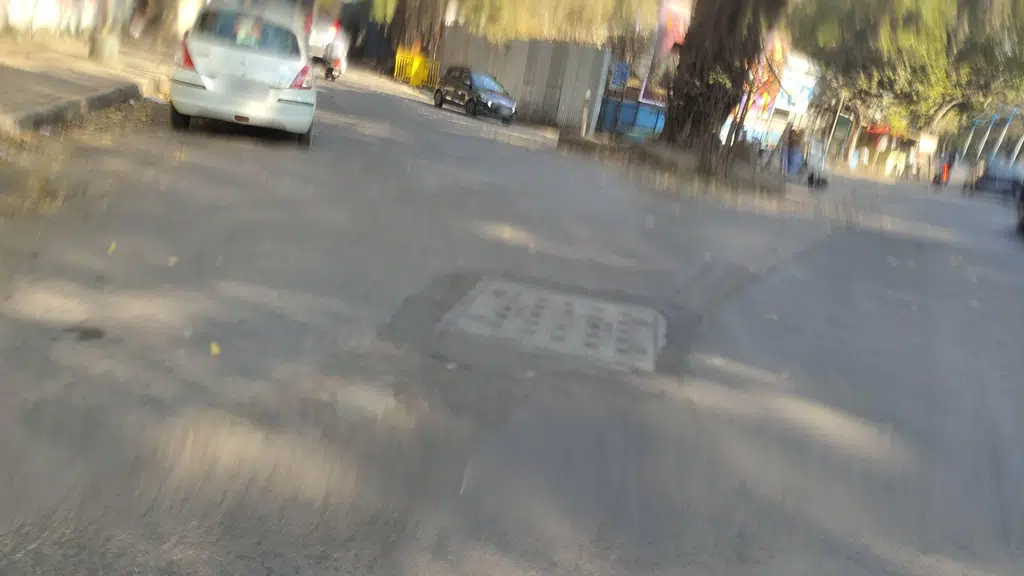 Shree Veer Gogadev Chowk