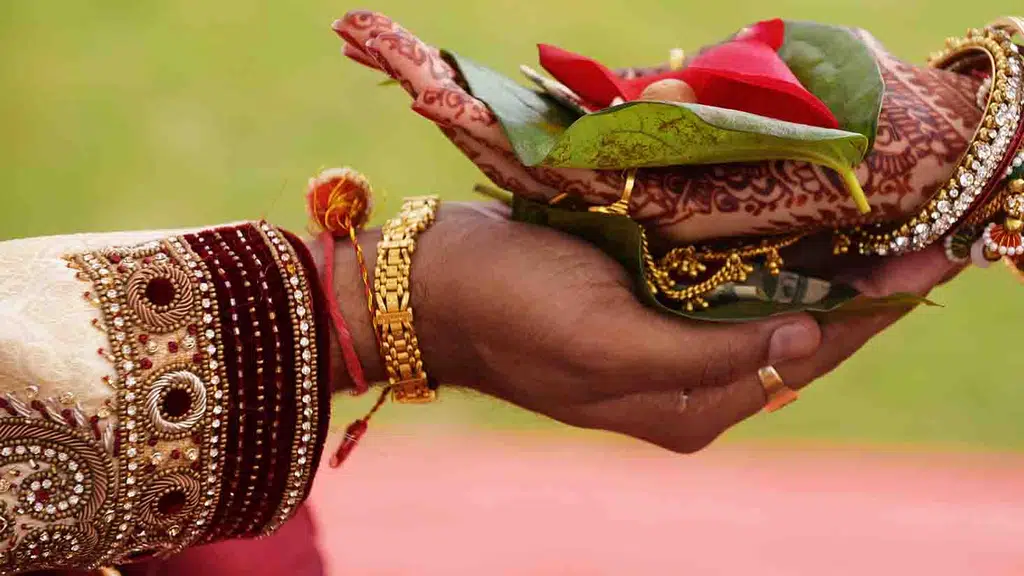 Shree Mansa Saree