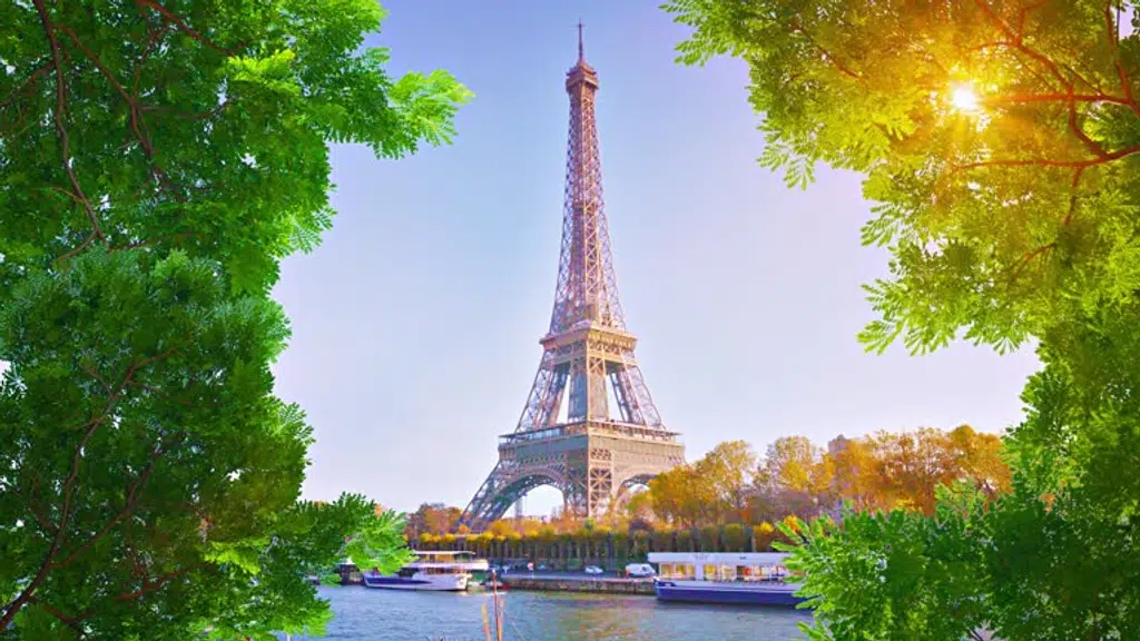 Anjali Travel and Tours