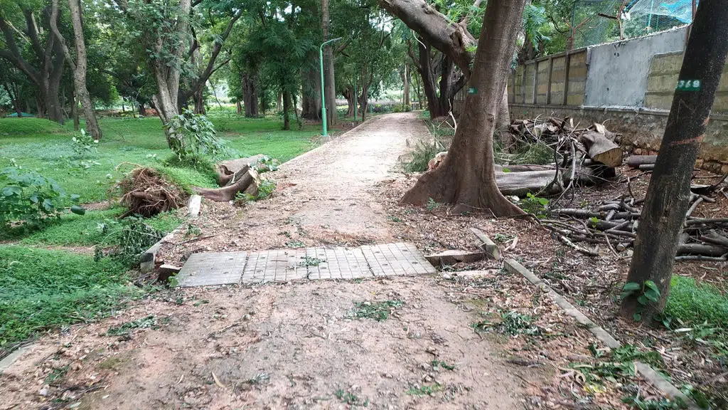 Bangalore City Ymca