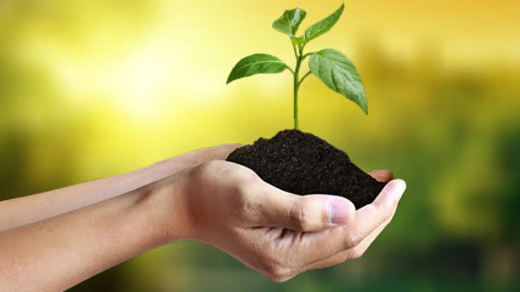 Sk Agrotech
