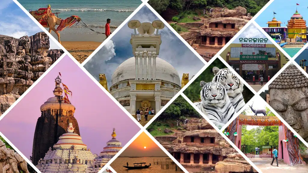 Mishra Tour & Travels Odisha