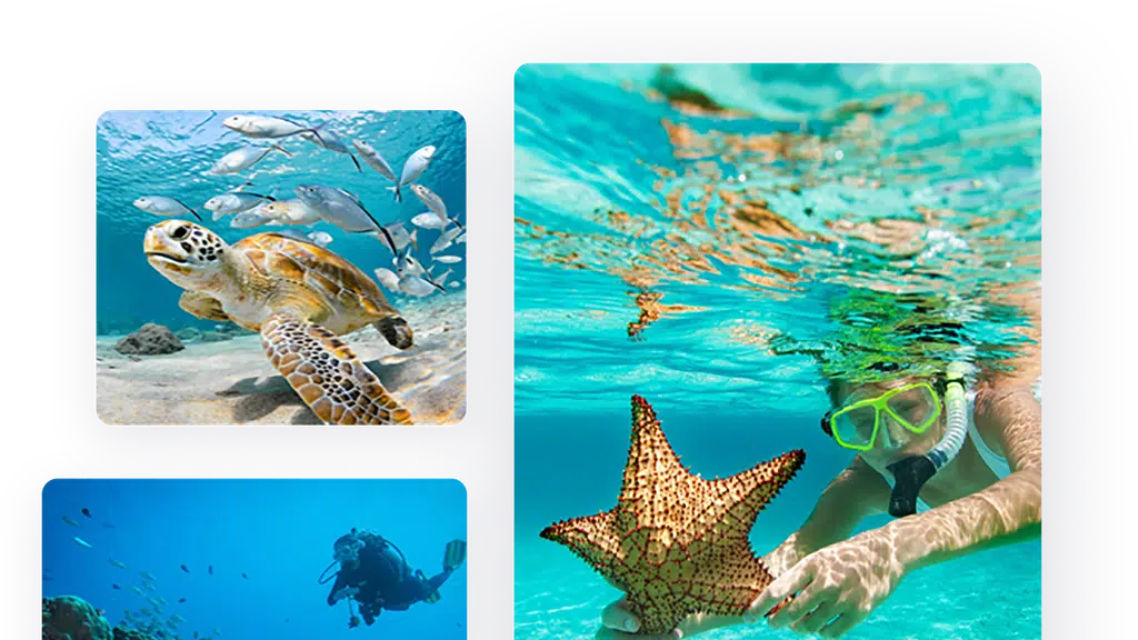 The Reef Adventures