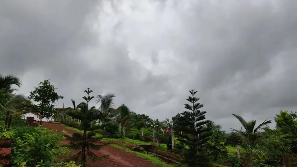 Konkan Kilbil