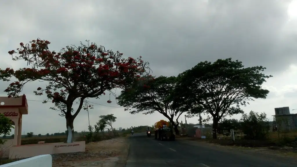 Gobbilla Sankaraiah Memorial High School