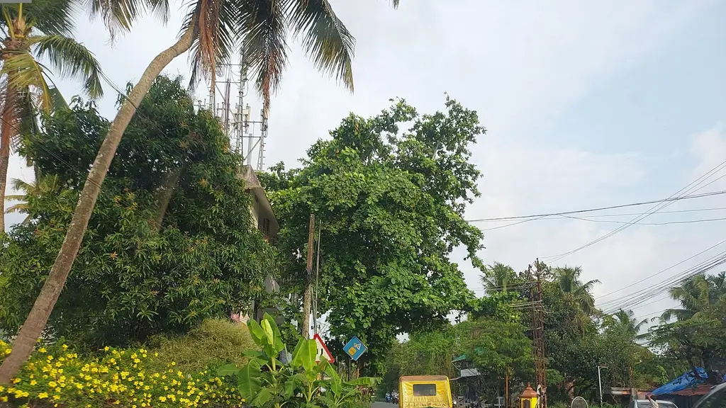 Sree Narasimha Swamy Temple Udayamperoor