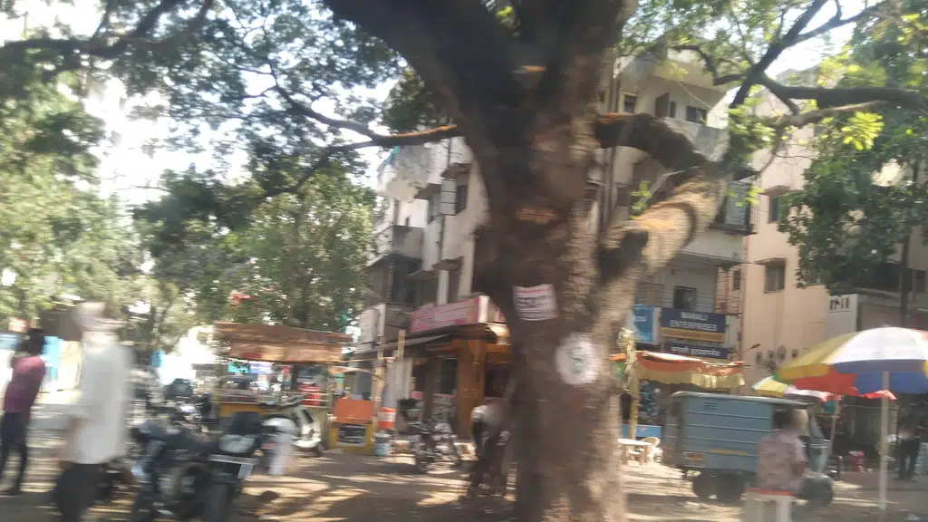 Rajhans Tours Pune