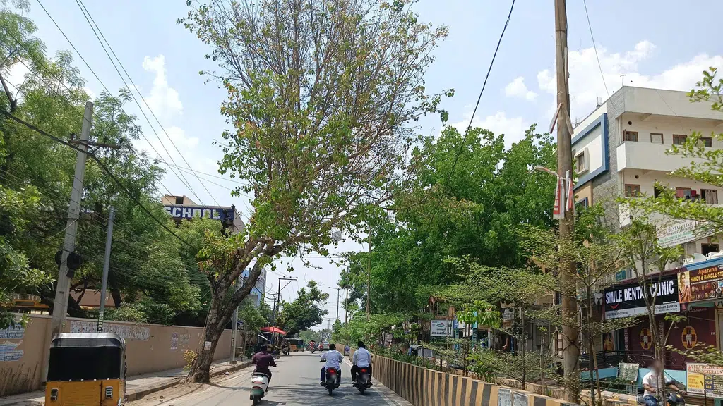 Sai Krupa Kirana and General Stores