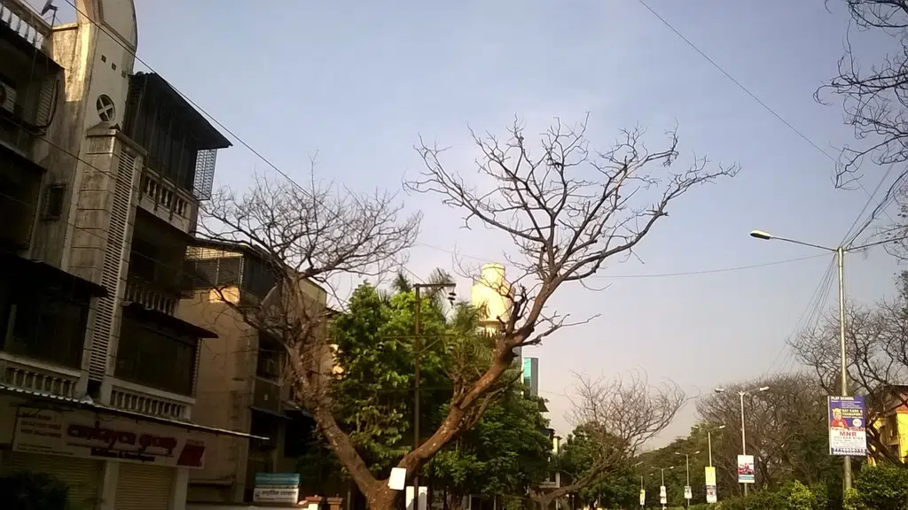 Career Launcher Panvel IIT