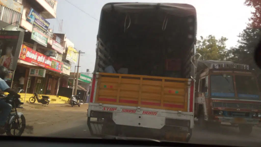 Annam palporul angadi