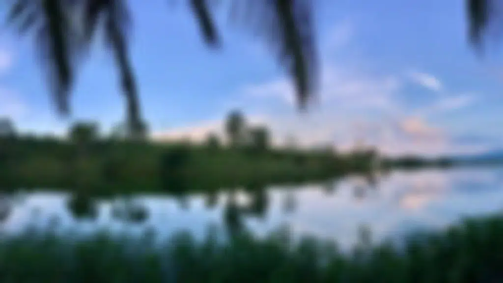 The Hidden Oasis