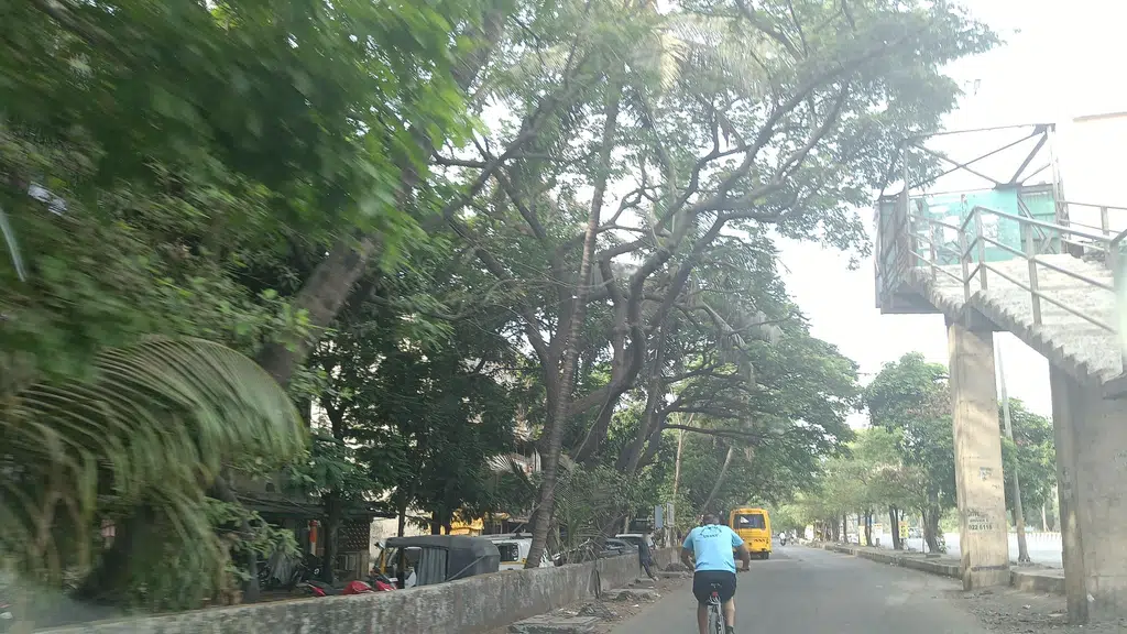Ankit nayak