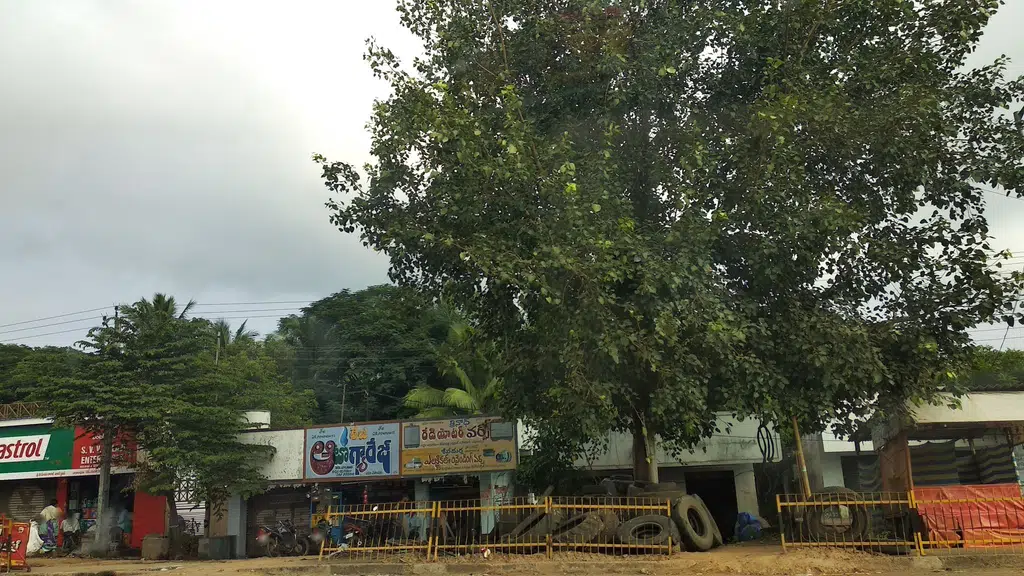 Payakaraopeta