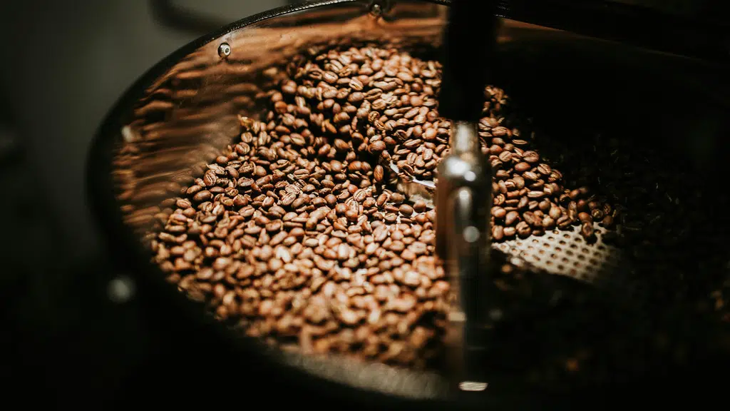 Arka Originals B2B Coffee Roastery