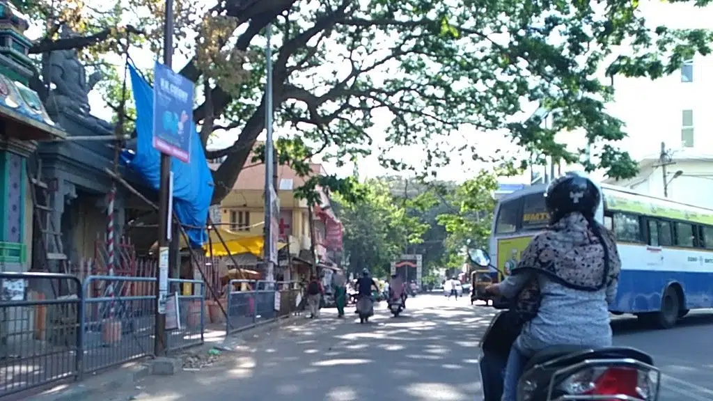 Samyamaa Academy yoga - Basavanagudi -