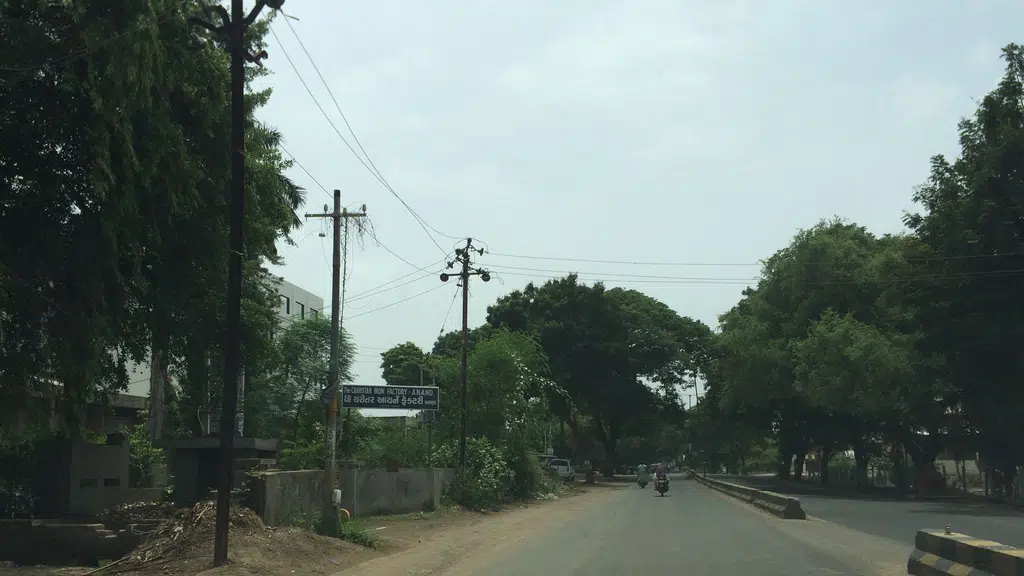 Jalaram pulse mill