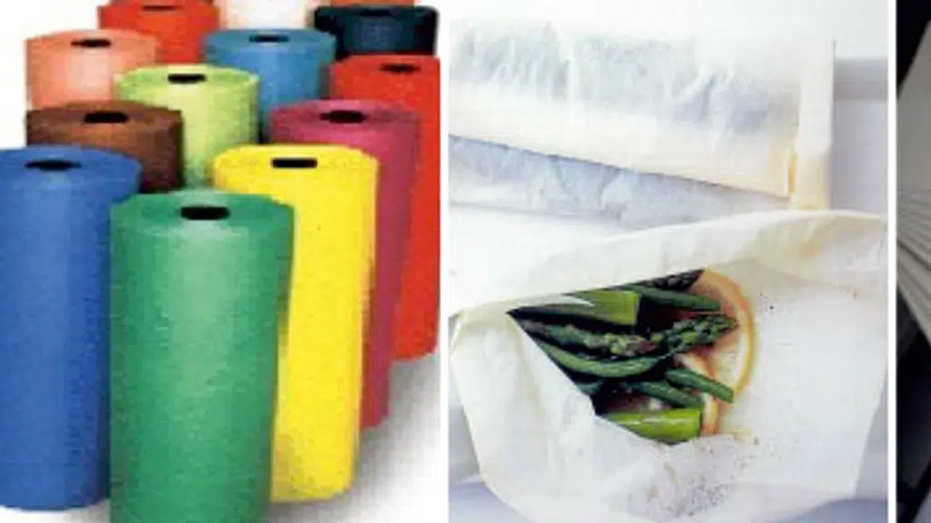 Amol Paper Mills