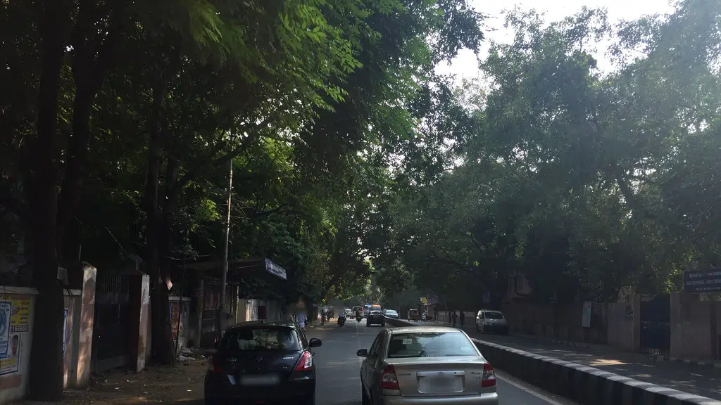 MedPlus Mandaveli - Rk Mutt Road