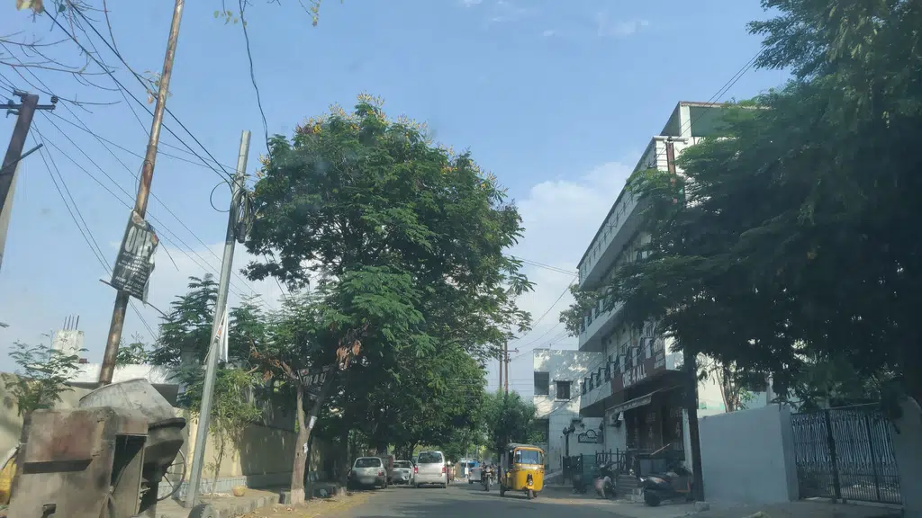Pallavi College