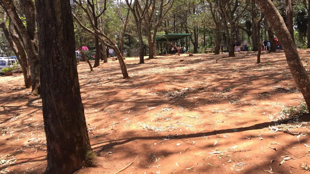 Neelikai Basavanna