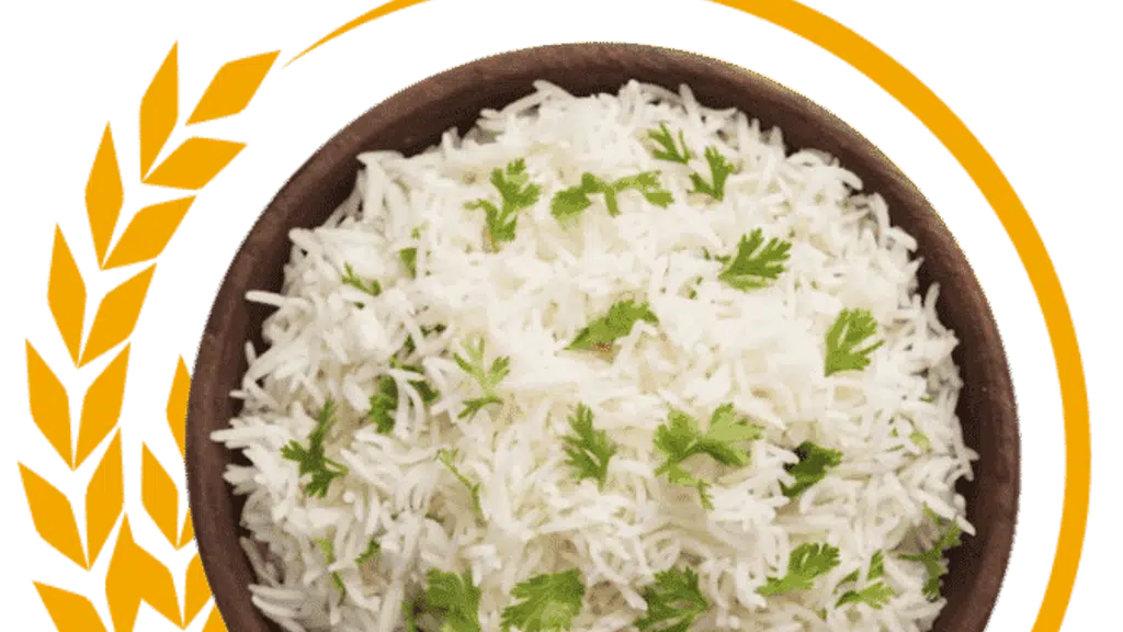 Vi Exports India
