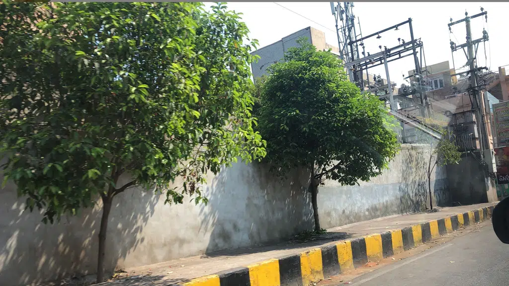 Andhra Womens Medical College