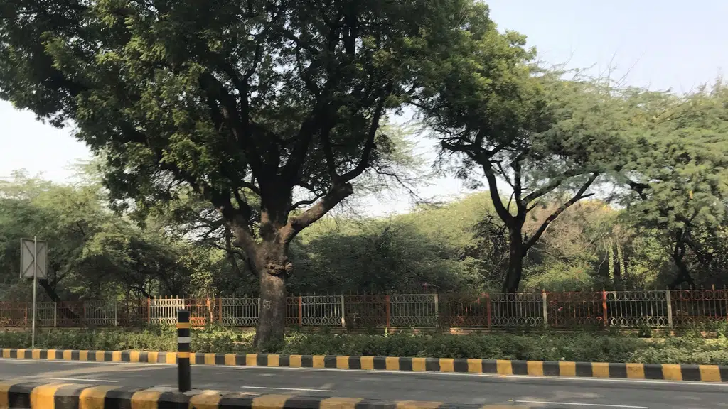 Dhaula Kuan Metro Station