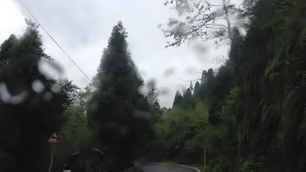 Hill Castle Homestay,  Dawaipani