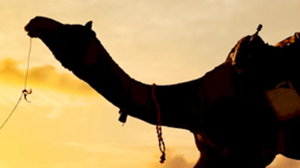 Welcome Rajasthan Tourism